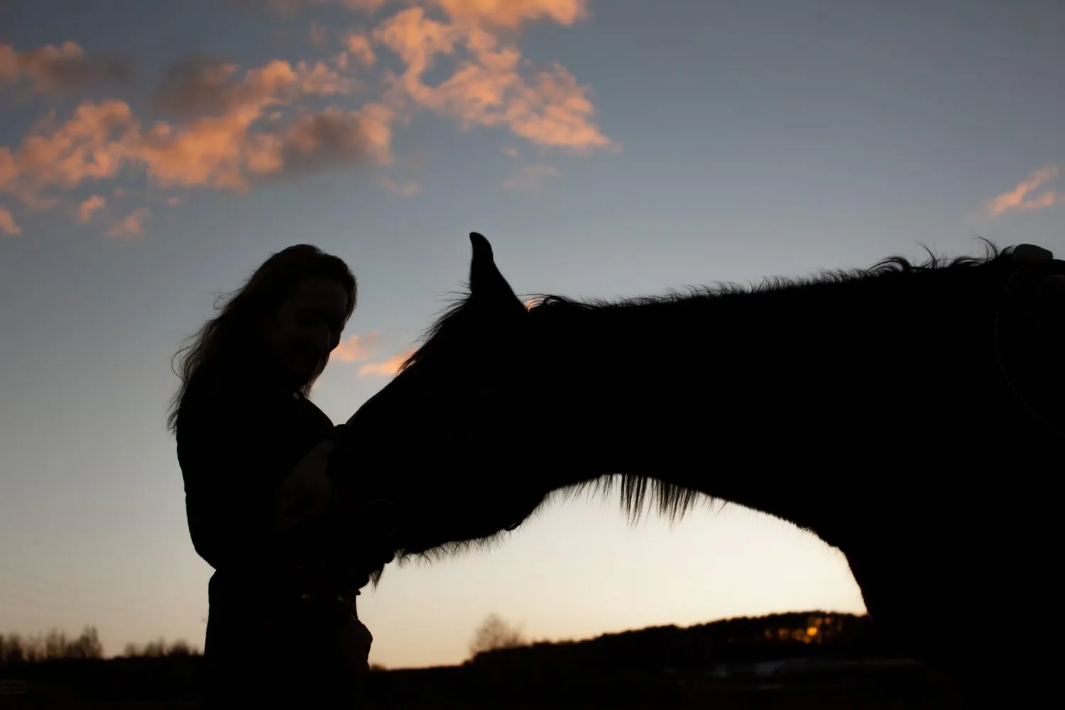 A woman and her horse in silhouette at sunset